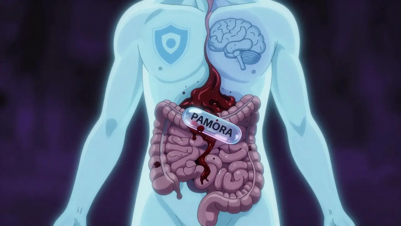 Split-body illustration showing opioid blockade in gut being reversed by PAMORA.